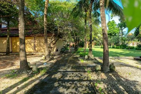 The path between the coconut trees. Beautiful garden on the beach in Bali. Stock Photos