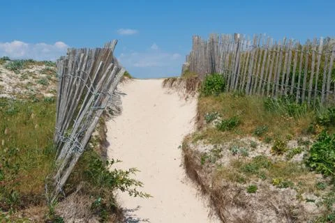 Path between the dunes in Brittany Stock Photos