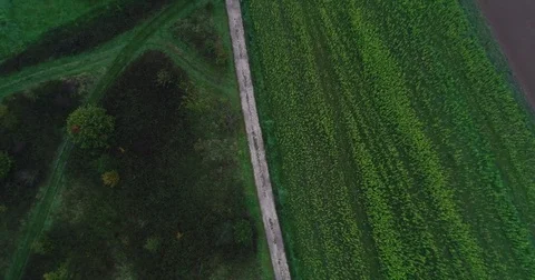 Path between fields Stock Footage 83071859