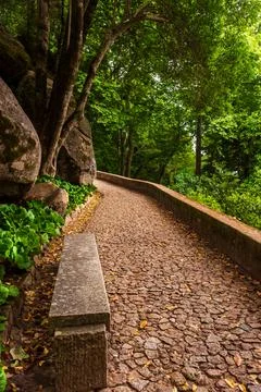 Path between the gardens of the castle of the Moors in Sintra, Portugal. Stock Photos