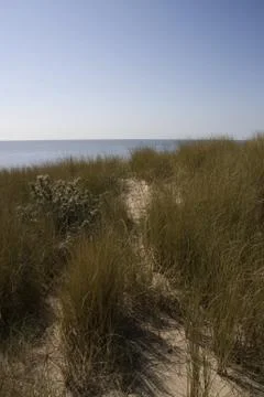 Path between the grass 스톡 사진