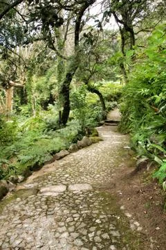 Path between green vegetation in a garden Stock Photos