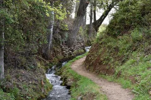 Path between the grove drain fresh clean water Lanjaron Stock Photos