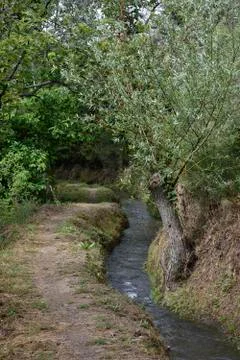 Path between the grove drain fresh clean water Lanjaron Stock Photos