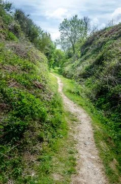 Path between the hills into the woods Stock Photos
