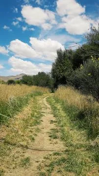 Path between the meadow, vegetation, mountains, sky with clouds Stock Photos