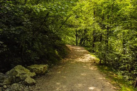 Path between nature Stock Photos