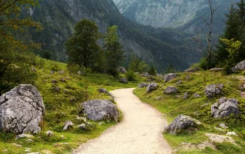 Path between Obersee and Konisee lake in Germany natural park during summer 스톡 사진