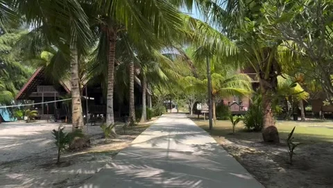 Path Between Palm Trees and Tropical Resort Cottages Vídeos de archivo 342266598
