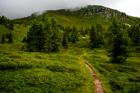 Path between the peaks of the Lagorai nine Stock Photos