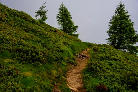 Path between the peaks of the Lagorai two Stock Photos