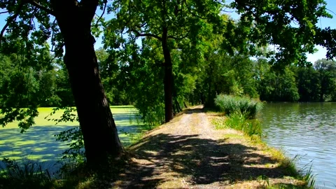 Path between ponds in beautiful nature Stock Footage 219105580