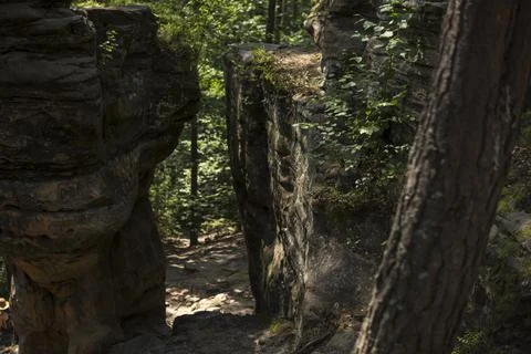 Path between rock formation made from sandstones inside of a forest Foto stock