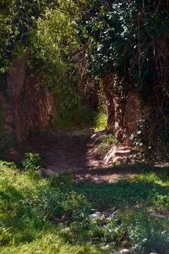 Path between rocks and vegetation Stock Photos
