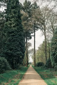 Path between tall trees in garden. Gelderland. The Netherlands. Stock Photos