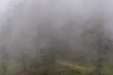 Path between trees and mist at the viewpoint of Fito, Asturias. Stock Photos