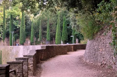 Path between trees 写真素材