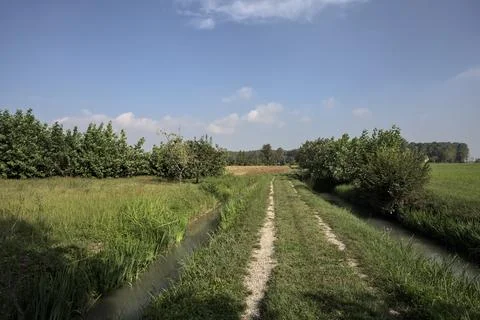 Path between trenches with water and a row of trees next to fields in the i.. Stock Photos