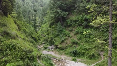 Path between two mountains a dry water fall covered with grass and trees Vidéo 237445592
