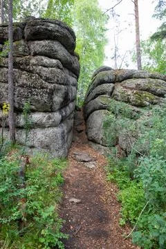 A path between two stone rocks covered with moss in the forest. Stock Photos
