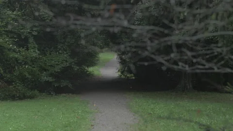 Path between two trees Stock Footage 229251269