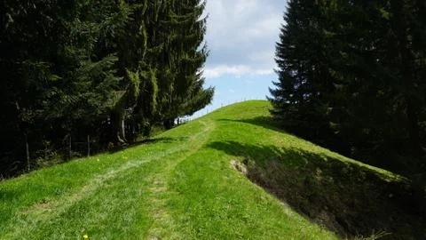 A Path Beyond Stock Photos