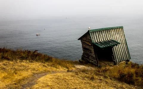 Path to Bird Sightseeing Post Stock Photos