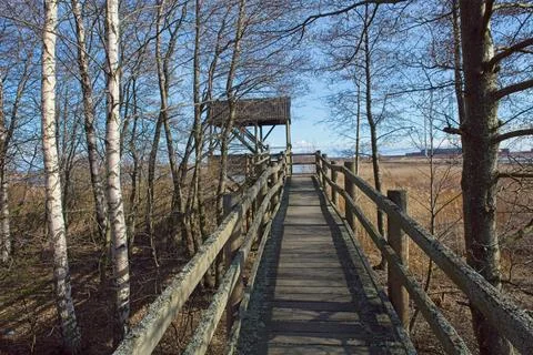Path to bird watching tower. Stock Photos