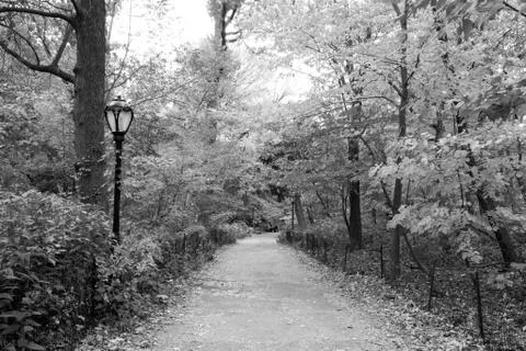 Path in black and white Stock Photos
