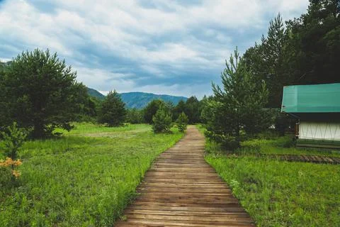 The path from boards in the camp in the forest. Summer, mountains, cloudy Stock Photos