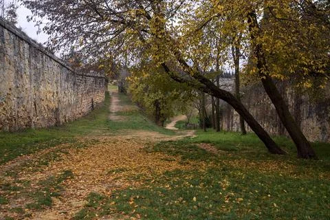 Path bordered by stone walls with a tree growing in the middle of it in a p.. Stock Photos