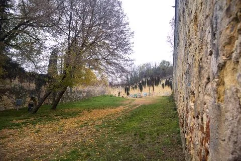 Path bordered by stone walls with a tree growing in the middle of it in a p.. Stock Photos