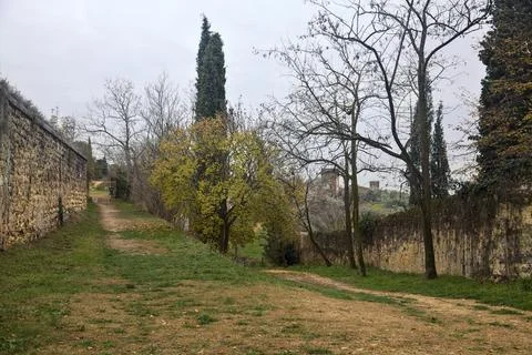Path bordered by stone walls with a tree growing in the middle of it in a p.. Stock Photos