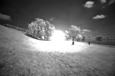 Path bordered by trees in a park by the shore of a lake at noon seen through  Stock Photos
