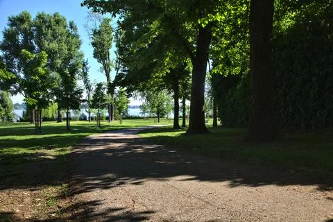 Path bordered by trees in a public park in an italian town in spring Stock Photos