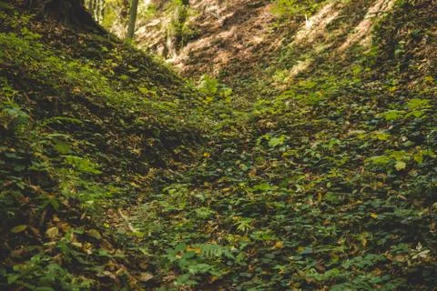 Path on a bottom of a gully landform Foto stock