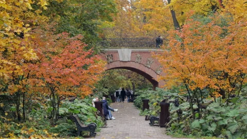 A path with a bridge over it and people walking on it Stock Footage 318874357