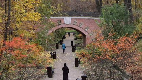 A path with a bridge over it and people walking on it Video stock 319841307