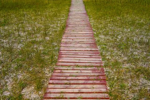 A path of brown old boards with cracks and paint leading into the distance Stock Photos