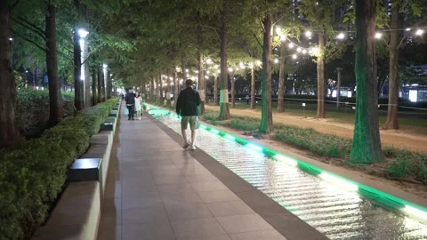 A Path of Bulb-lit Night Amidst the Forest 動画素材 252238561