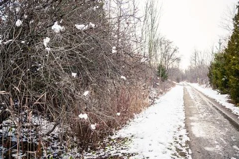The path in canadian forest Stock Photos