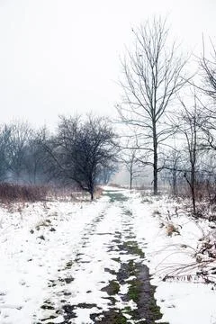 The path in canadian forest Stock Photos