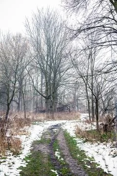 The path in canadian forest Stock Photos