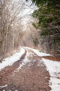 The path in canadian forest in winter Stock Photos