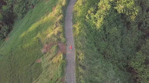 Path on the cant of the green field in between the jungle best jogging path Stock Footage 100275122