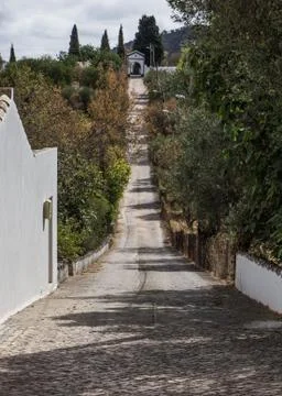 Path to cemetery 库存照片