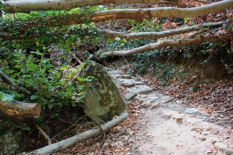 The path of the centaurs (after Cyclone Daniel) Portaria Pelion Greece Stock-Fotos