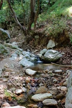 The path of the centaurs (after Cyclone Daniel) Portaria Pelion Greece Stock-Fotos