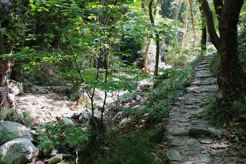 The path of the centaurs (after Cyclone Daniel) Portaria Pelion Greece 写真素材