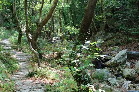 The path of the centaurs (after Cyclone Daniel) Portaria Pelion Greece Stock-Fotos